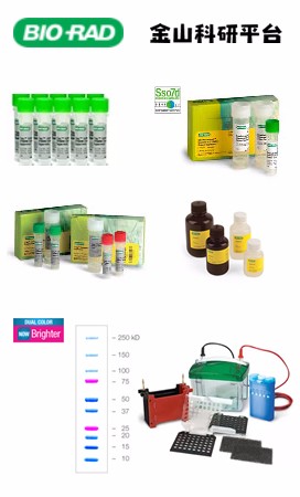 促销！BIO-RAD伯乐预混液iTaq™ Universal SYBR® Green Supermix, (5 x 5 ml)货号：1725124